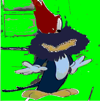 tim